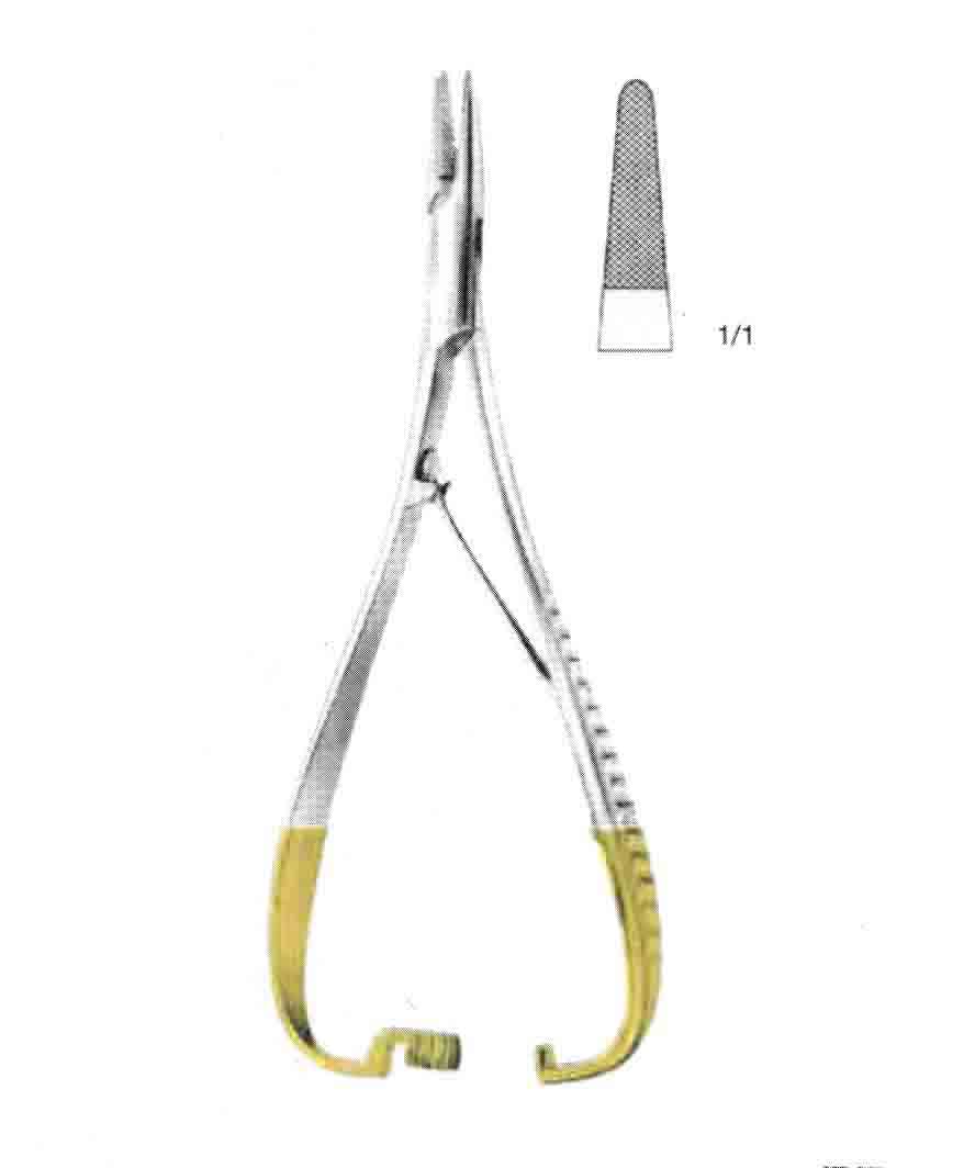ALTIN SAPLI AVUÇ İÇİ PORTEKÜ 20CM